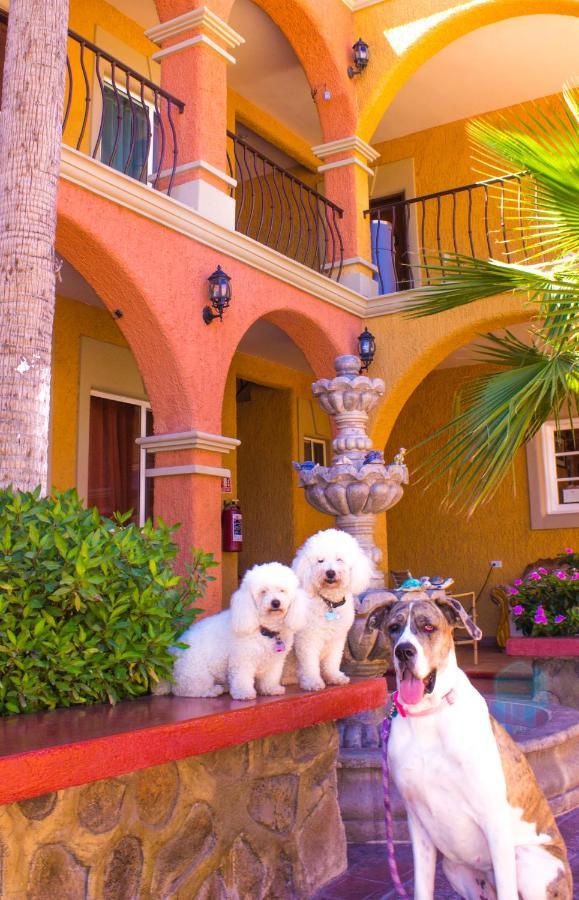 Hotel Angra لوريتو المظهر الخارجي الصورة